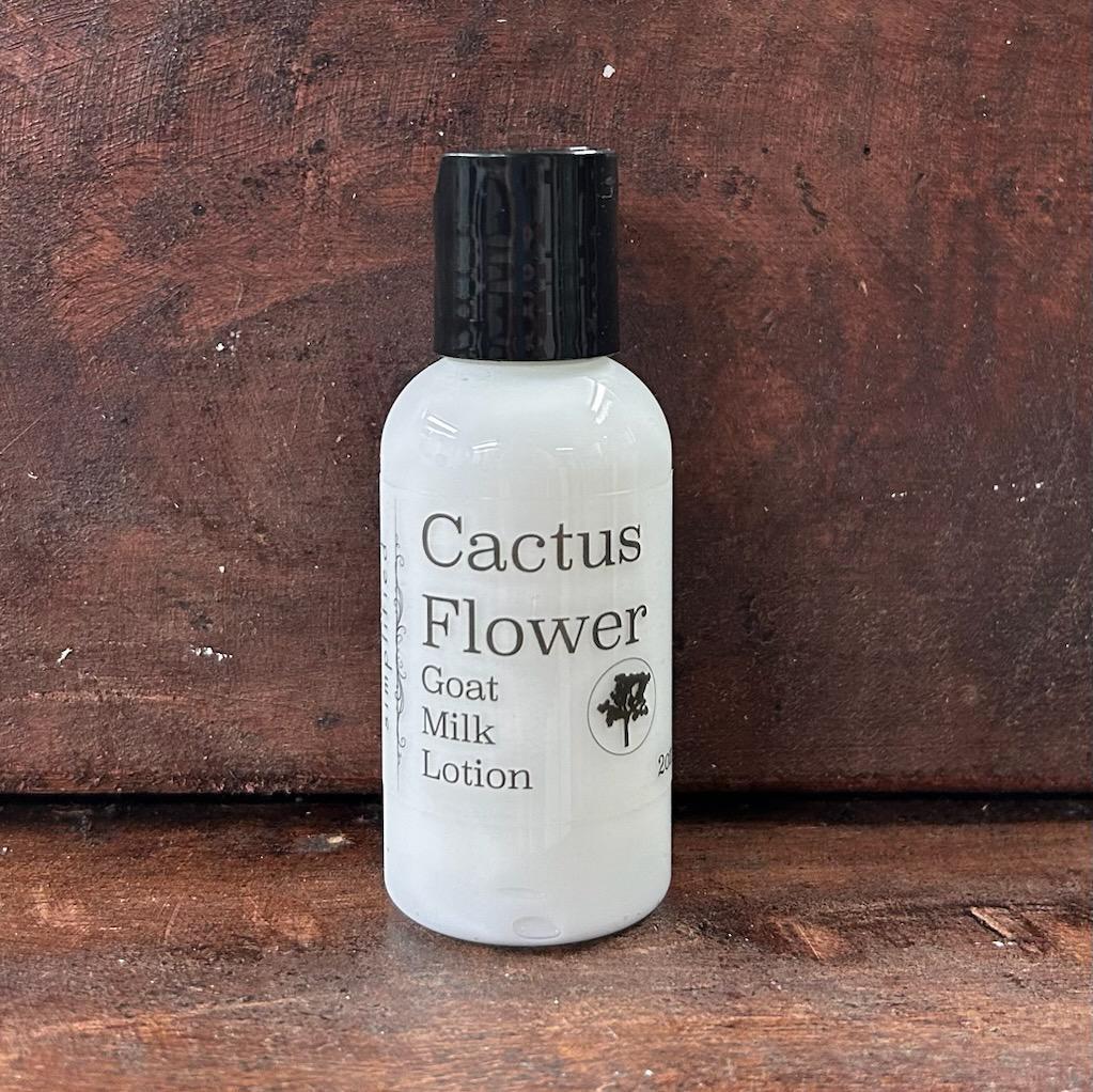 Cactus Flower 2oz Lotion- Simplified