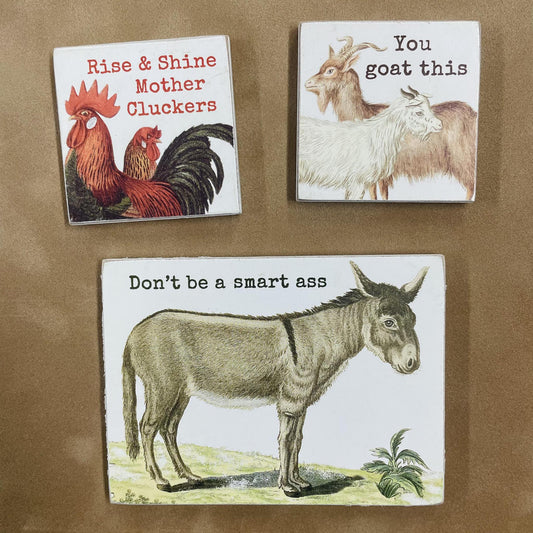 Magnet Set - Animal Puns - Primitives By Kathy