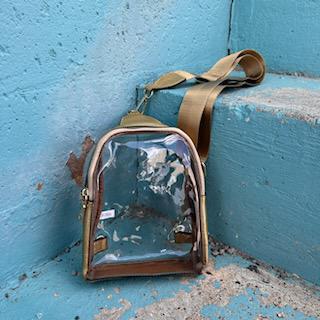 Gold Ellen Clear Sling Bag- Jen & Co.