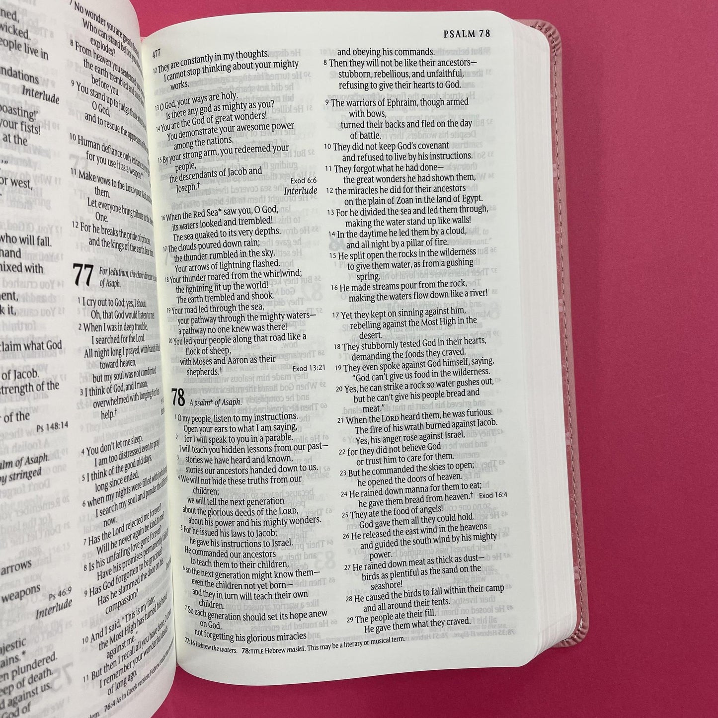 NLT Infant Bible - Pink