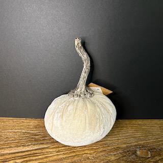 Velvet Pumpkin Filler- Mud Pie