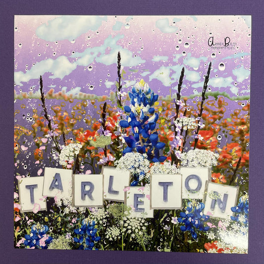 8x8 Tarleton Print - Amanda Butler Photography Mixes
