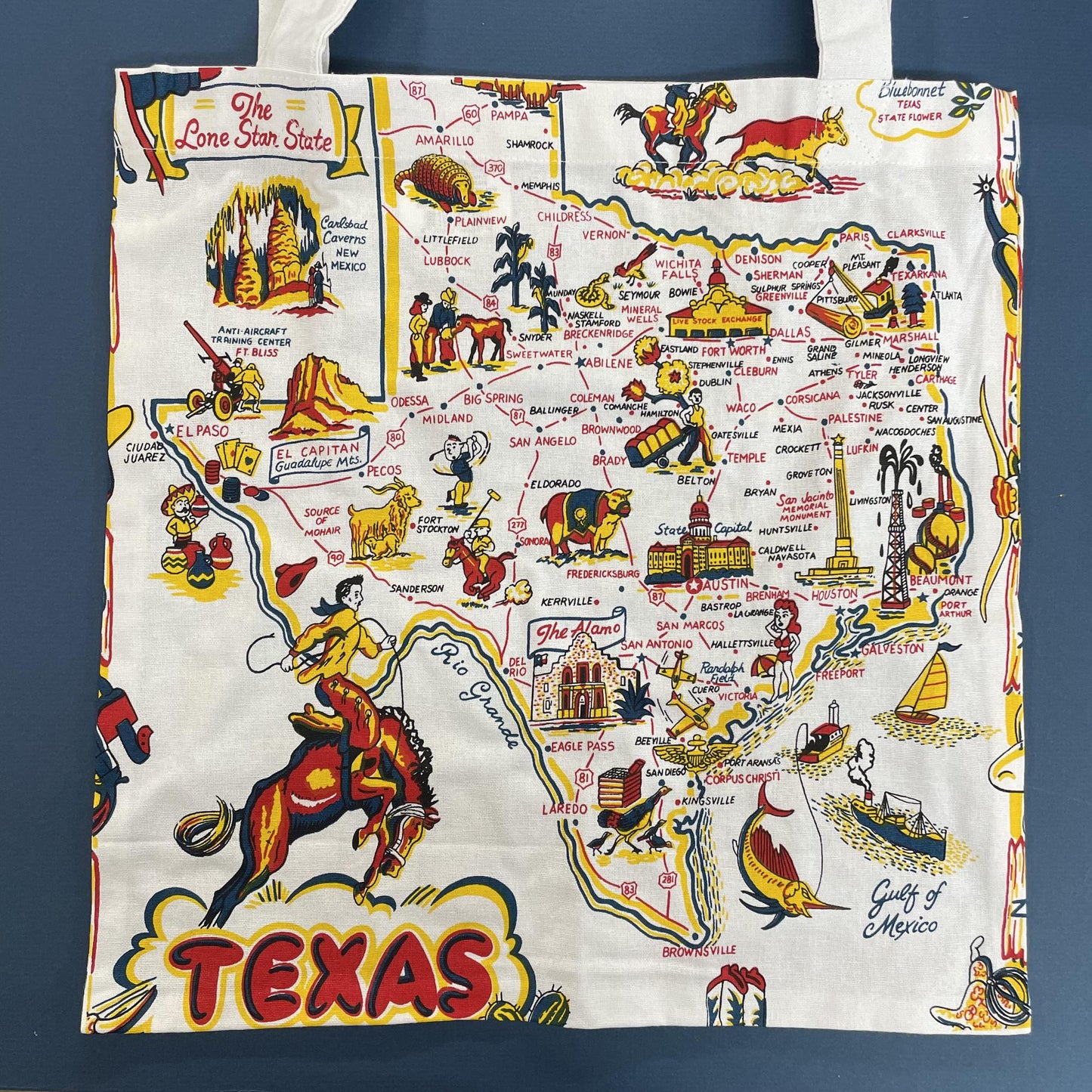 Texas Map Tote Bag- R&W Kitchen Co.