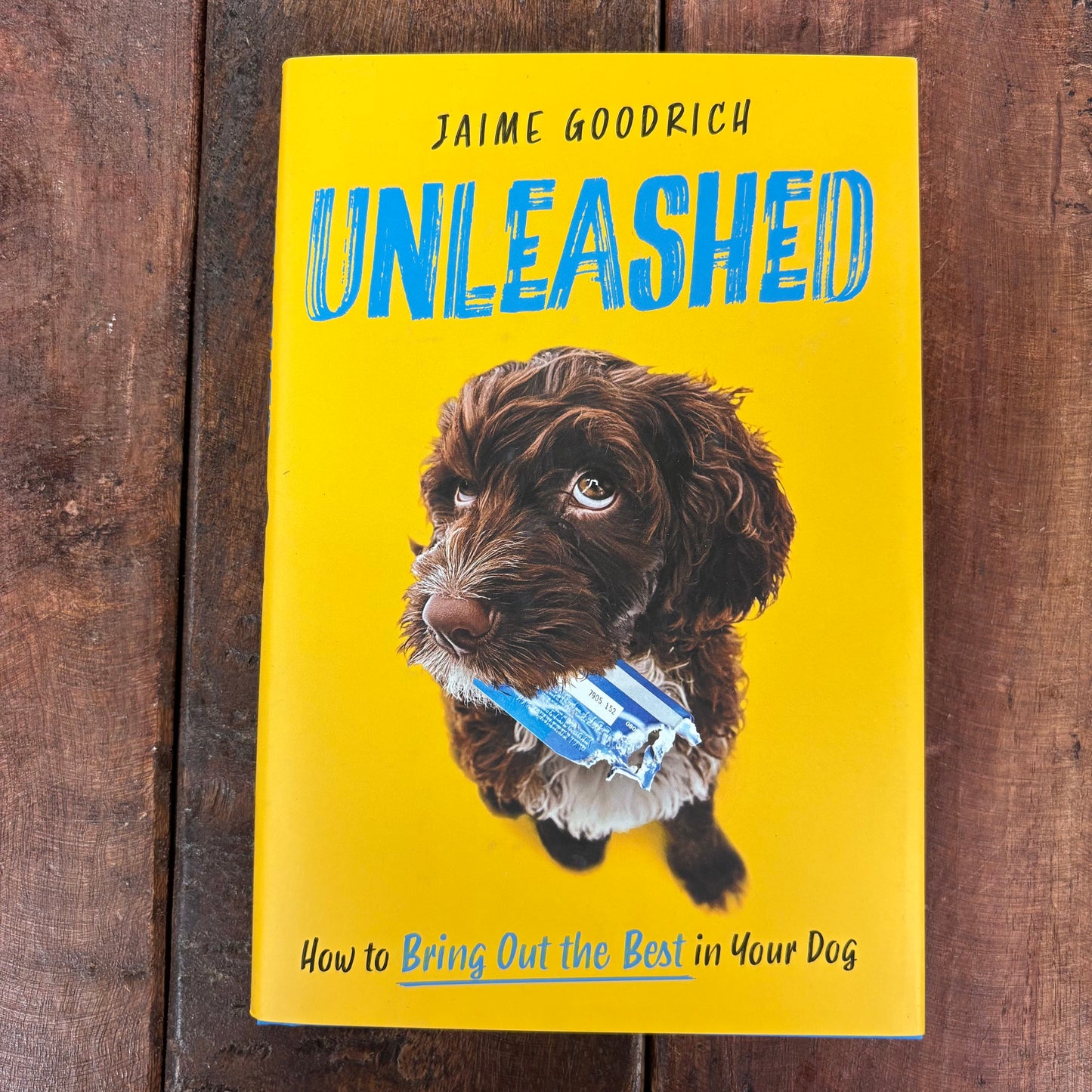 Unleashed - Jaime Goodrich - Simon and Schuster