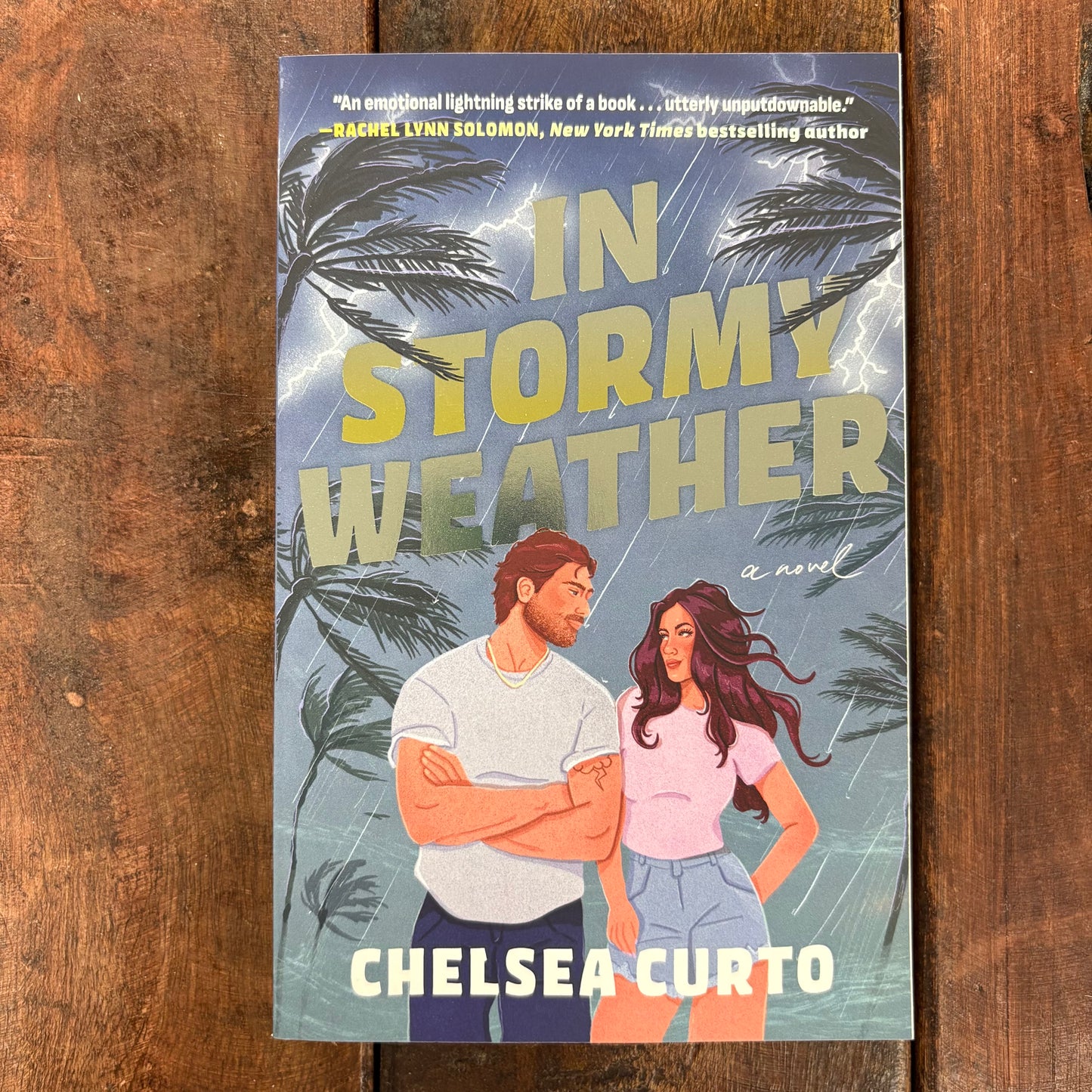 In Stormy Weather - Chelsea Curto - Simon and Schuster