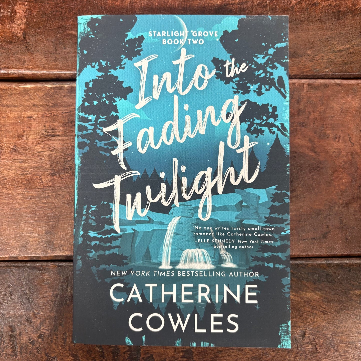 Into The Fading Twilight - Catherine Cowles - Sourcebooks