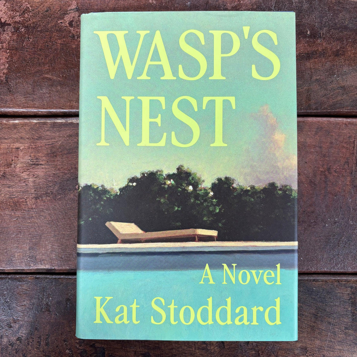 Wasp's Nest - Kat Stoddard - Macmillan Publishers