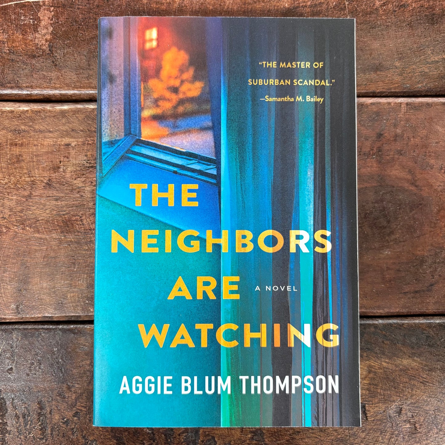 Neighbors Are Watching - Aggie Blum Thompson - Macmillan Publishers