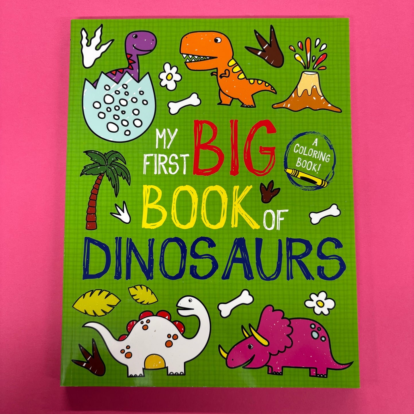 My First Big Book Of Dinosaurs - Little Bee Books - Simon and Schuster