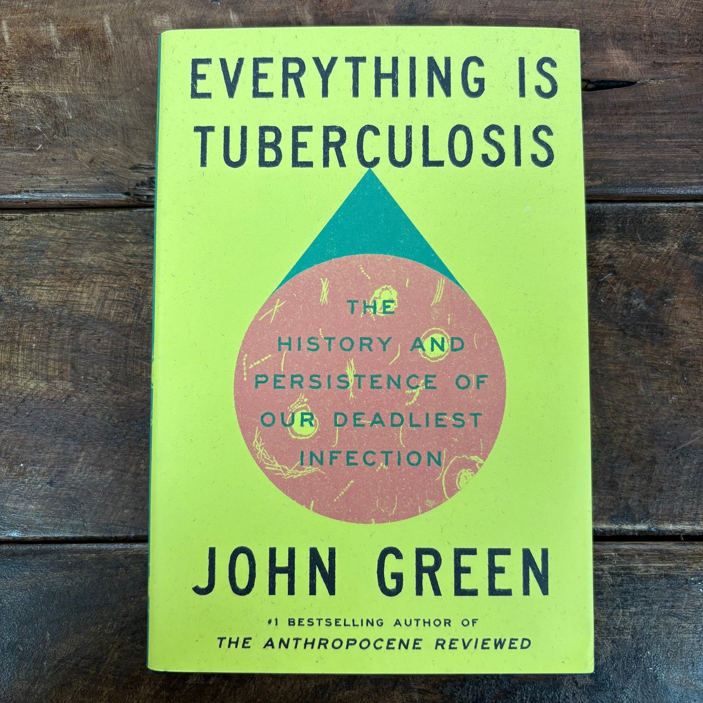Everything Is Tuberculosis - John Green - AZB