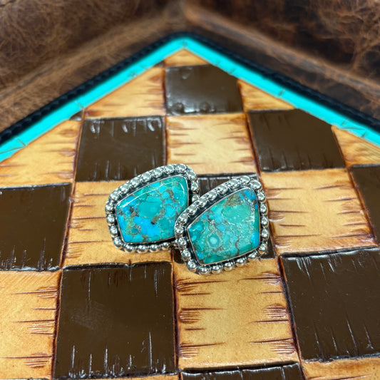 Irregular Turquoise Post Earrings - Boho Sol