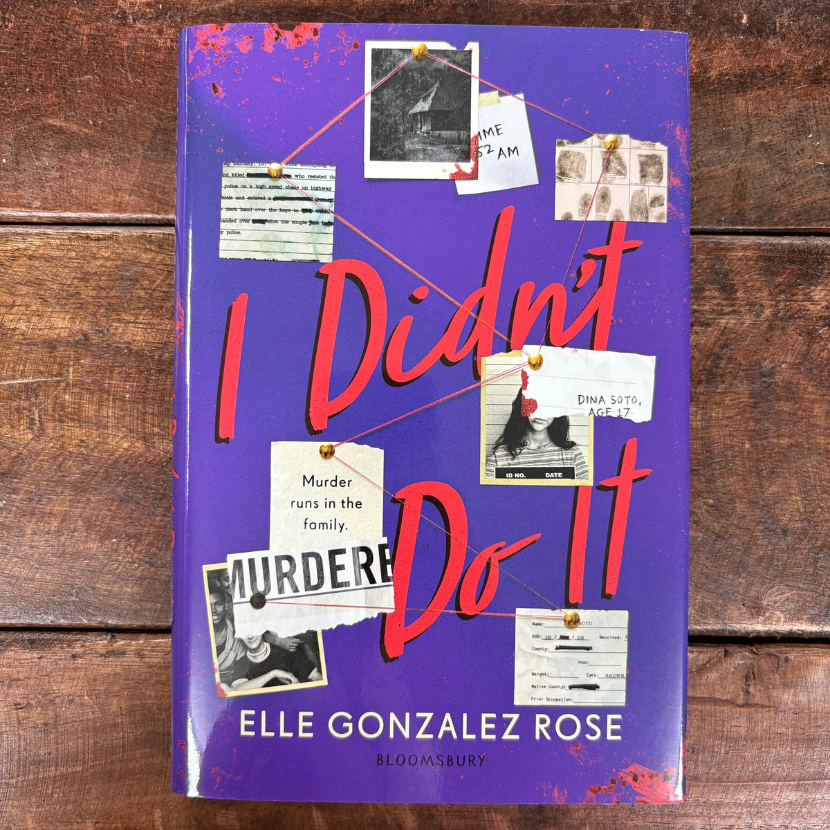 I Didn't Do It - Elle Gonzalez Rose - Macmillan Publishers