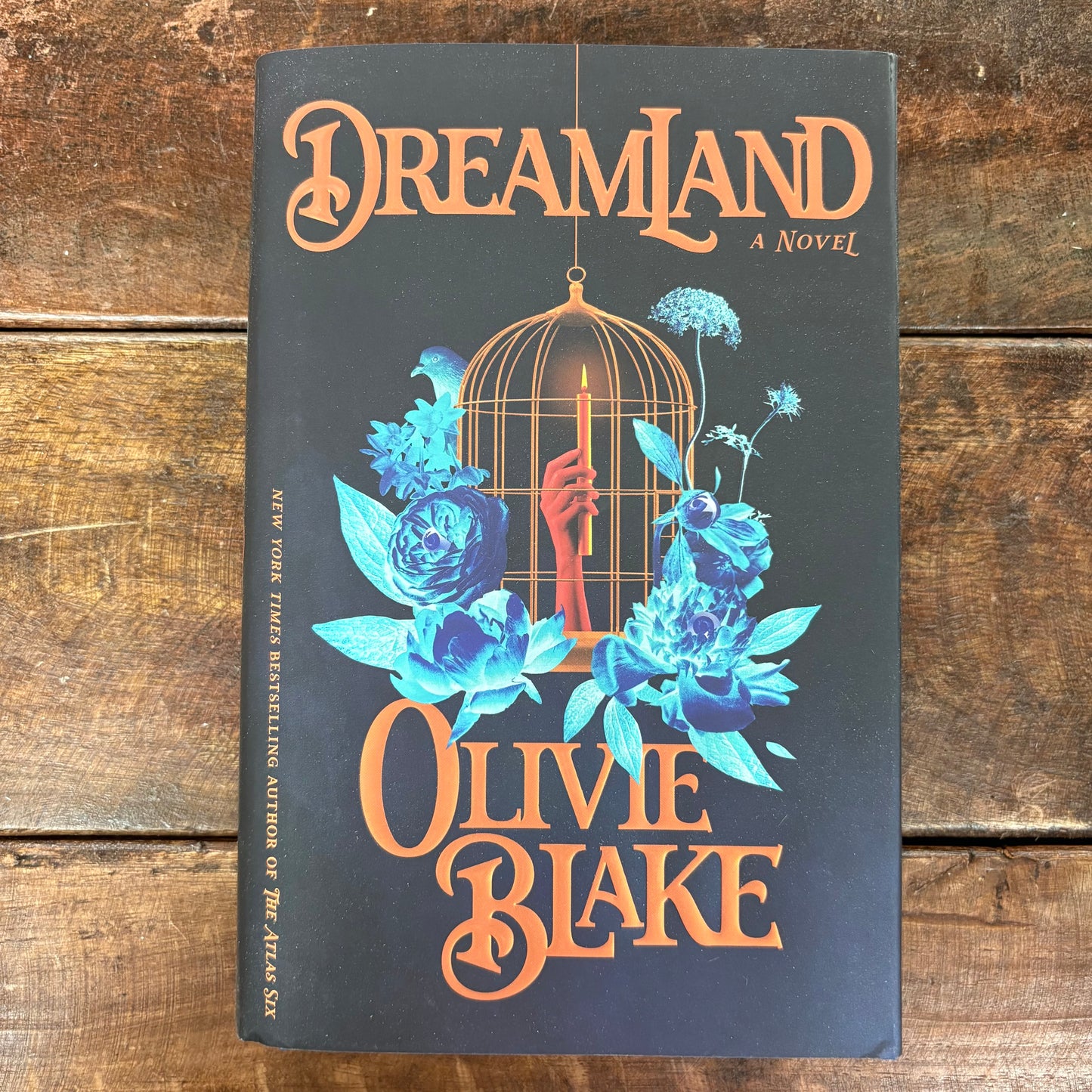Dreamland - Olivia Blake - Macmillan Publishers