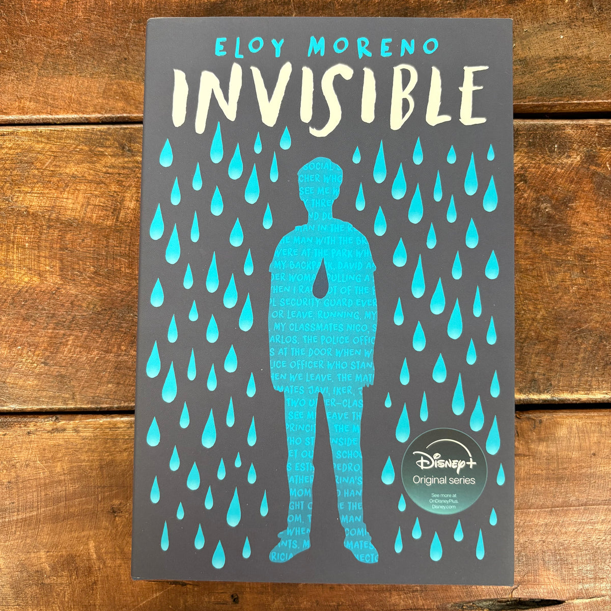 Invisible - Eloy Moreno - Sourcebooks