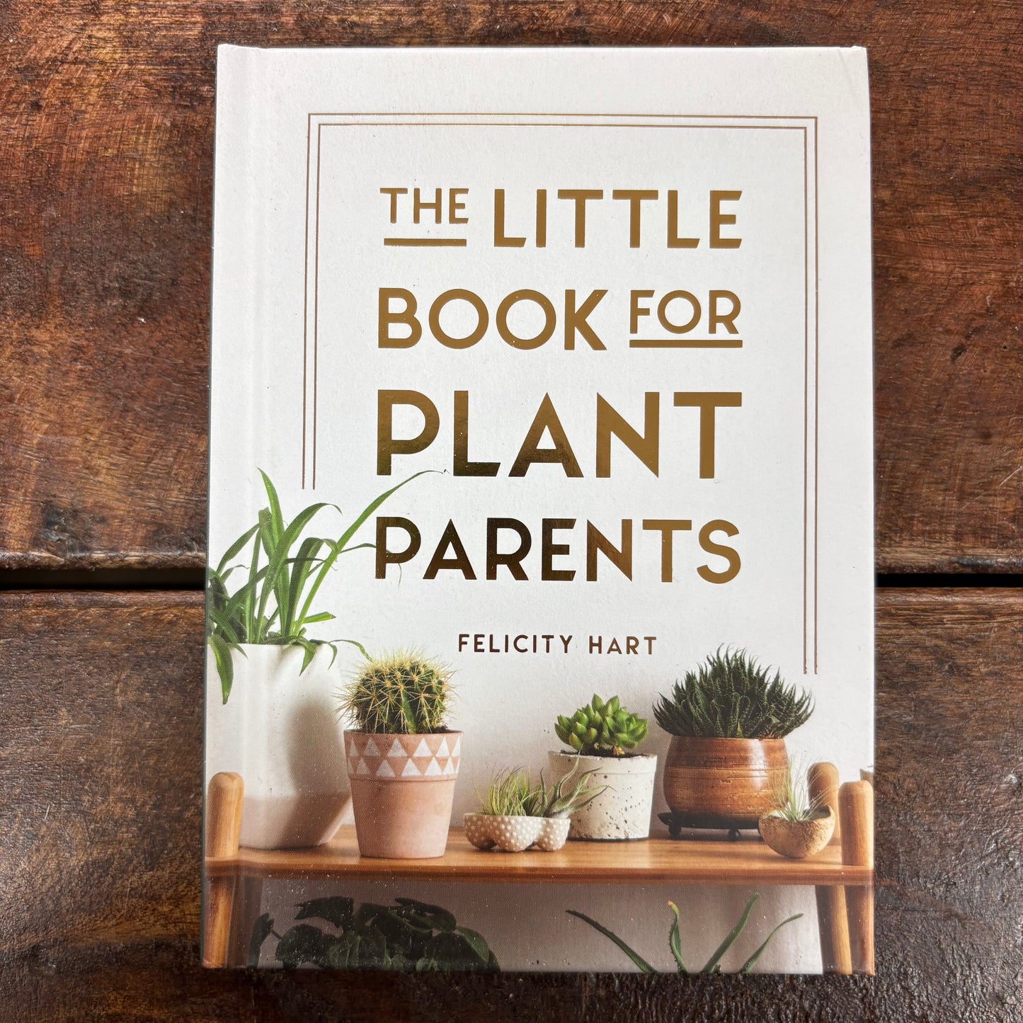 The Little Book For Plant Parents - Felicity Hart - Hachette Book Group
