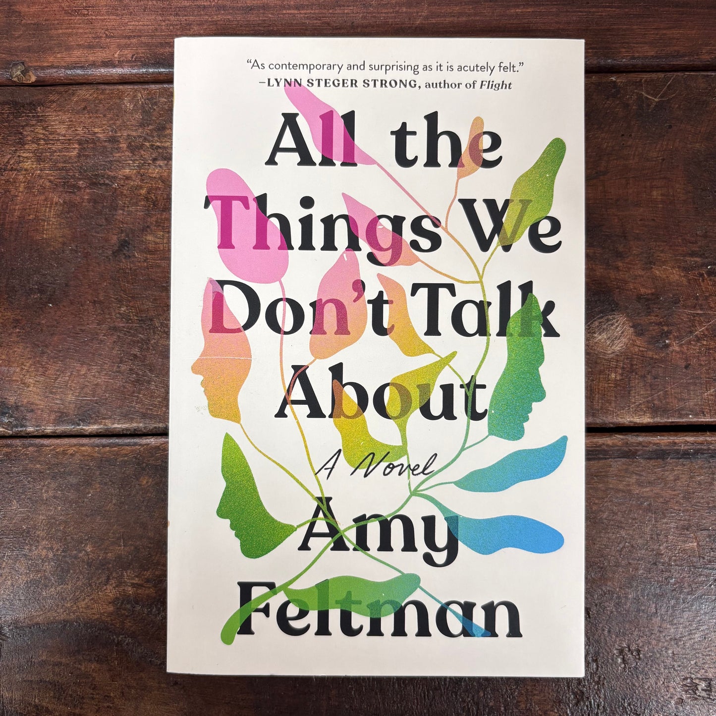 All The Things We Don't Talk About - Amy Feltman - Hachette Book Group