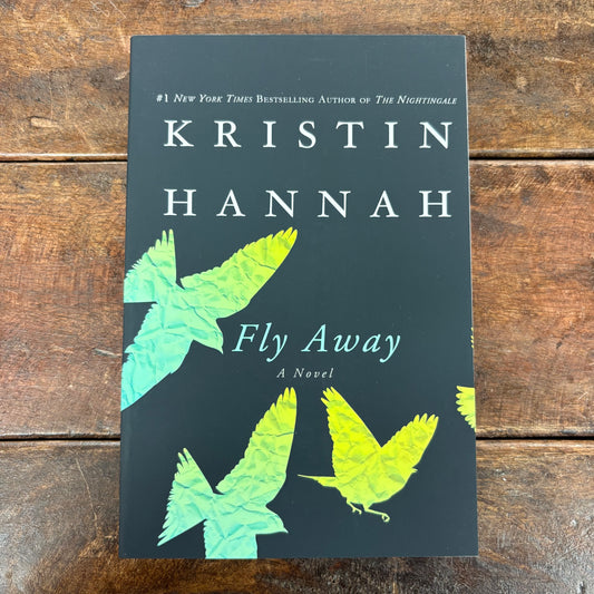 Fly Away - Kristin Hannah - Macmillan Publishers