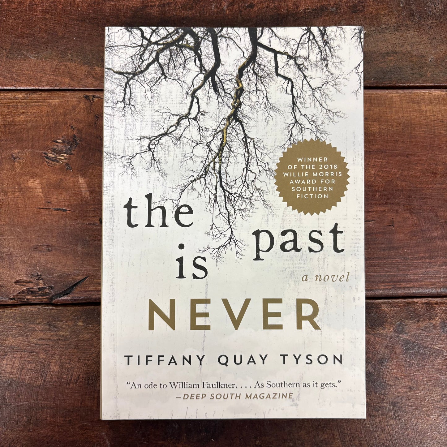 Past Is Never - Tiffany Quay Tyson - Simon and Schuster