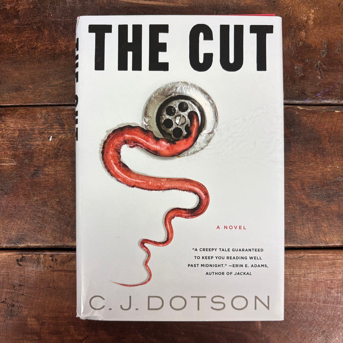 Cut - C.J. Dotson - Macmillan Publishers