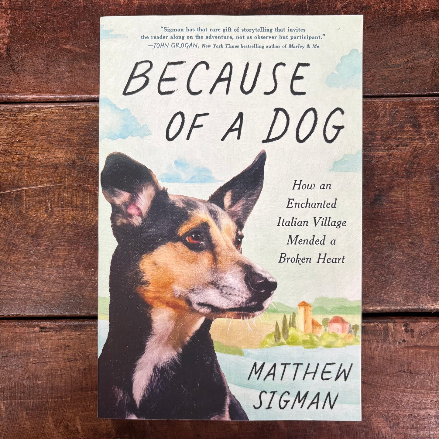 Because Of A Dog - Matthew Sigman - Sourcebooks