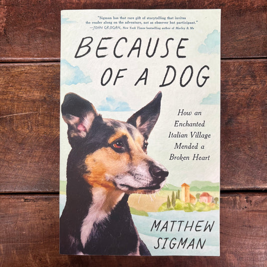 Because Of A Dog - Matthew Sigman - Sourcebooks