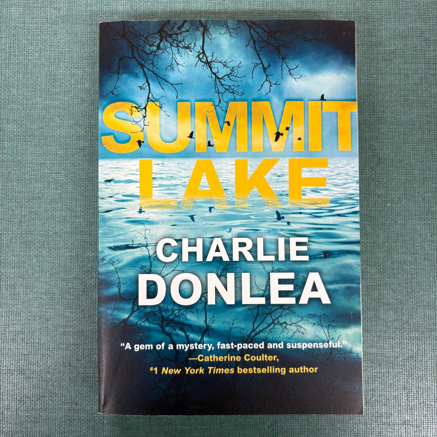 Summit Lake - Charlie Donlea - AZB