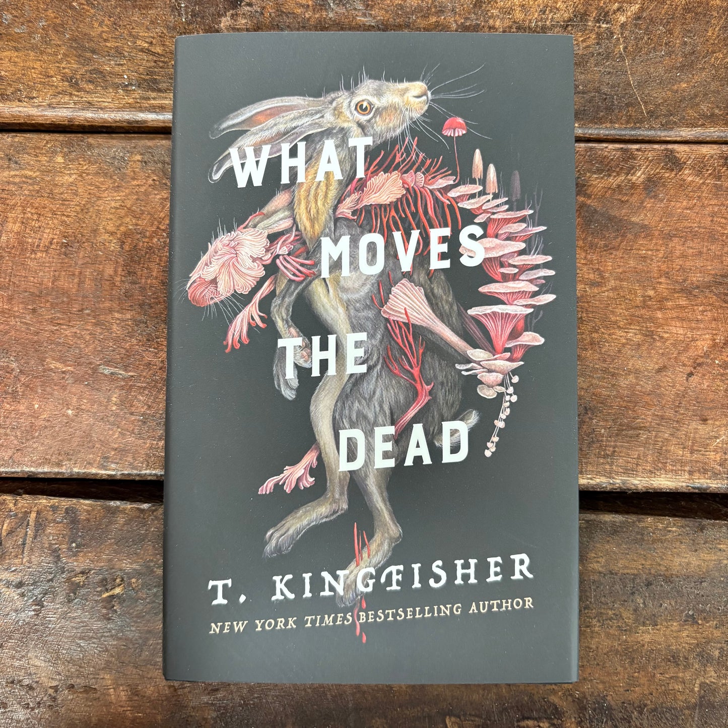 What Moves The Dead - T. Kingfisher - Macmillan Publishers
