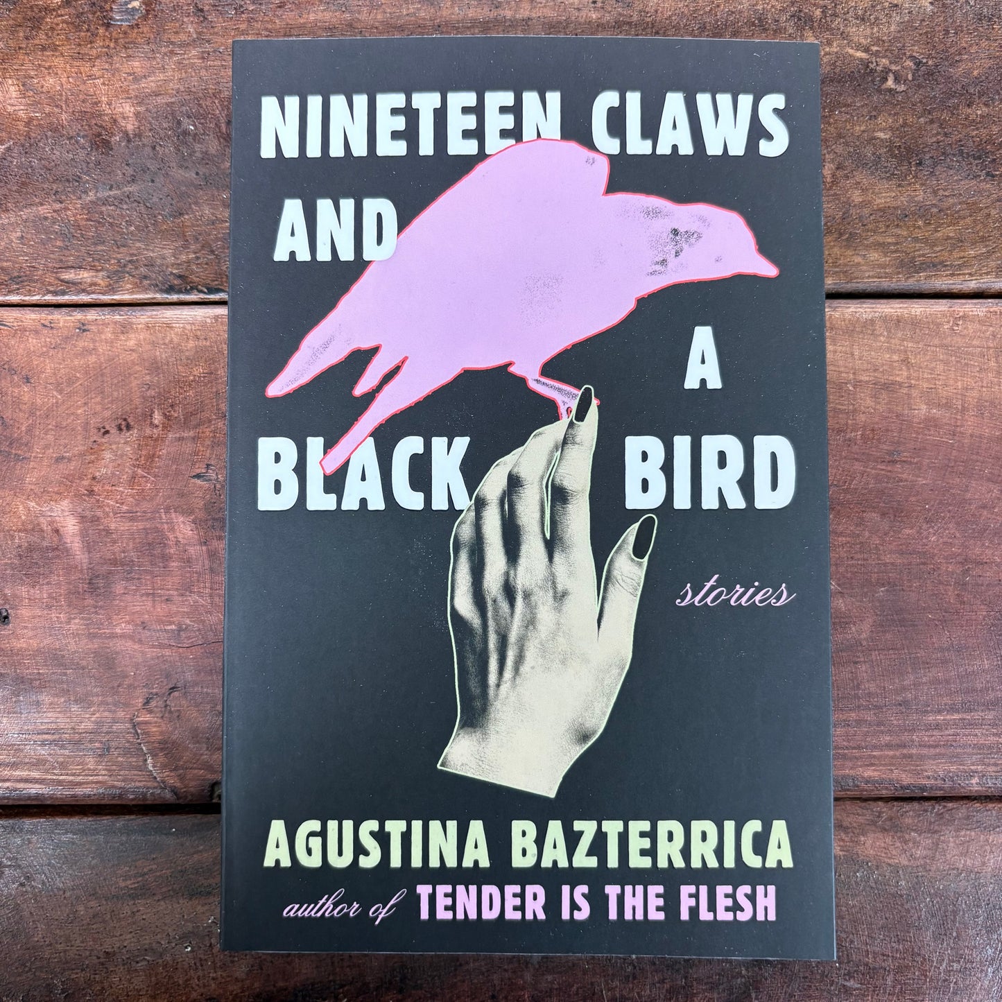 Nineteen Claws and a Black Bird - Augustina Bazterrica - Simon and Schuster