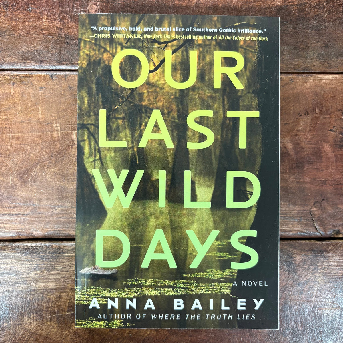 Our Last Wild Days - Anna Bailey - Simon and Schuster