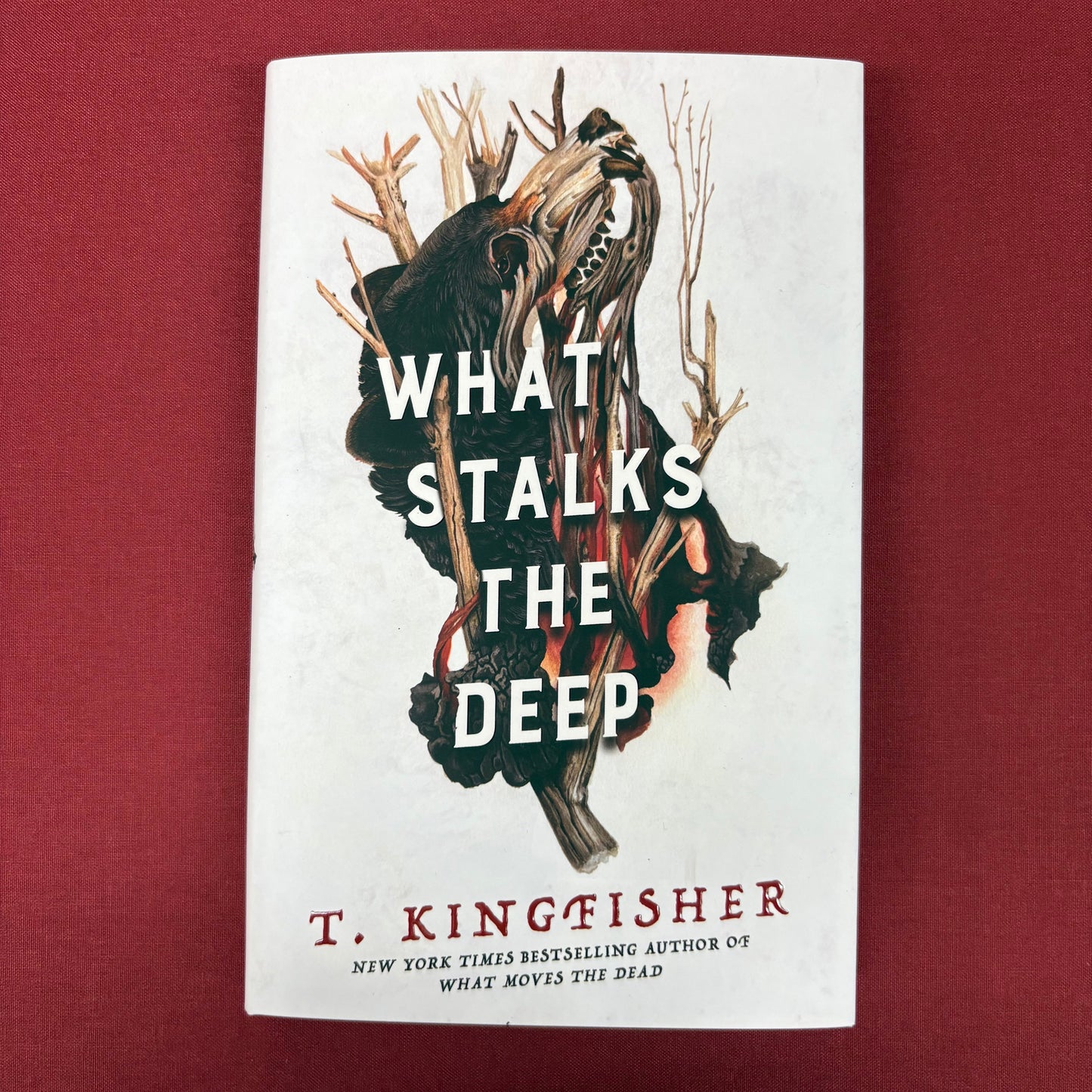 What Stalks The Deep - T. Kingfisher - Macmillan Publishers