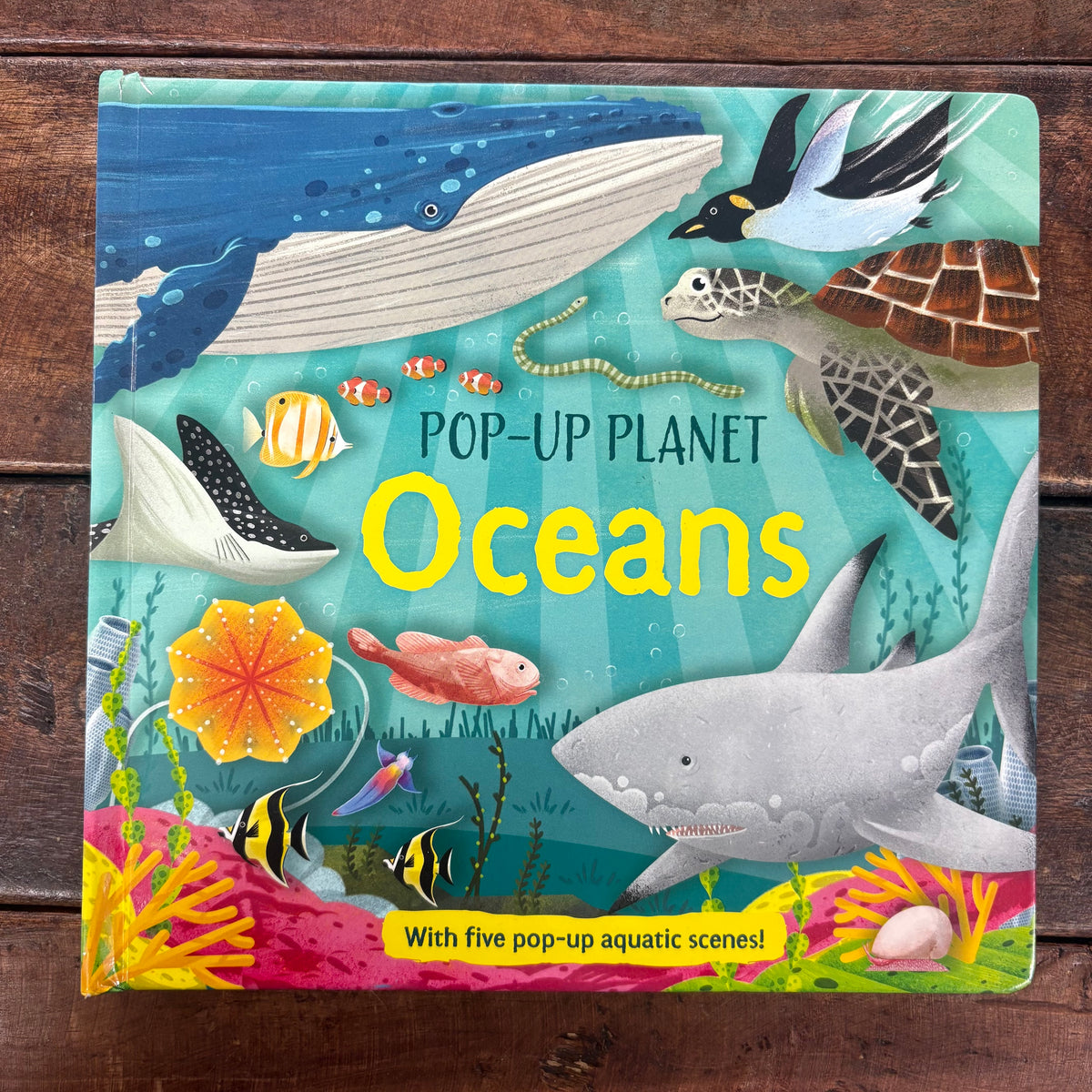 Pop-Up Planet: Oceans - BKBY