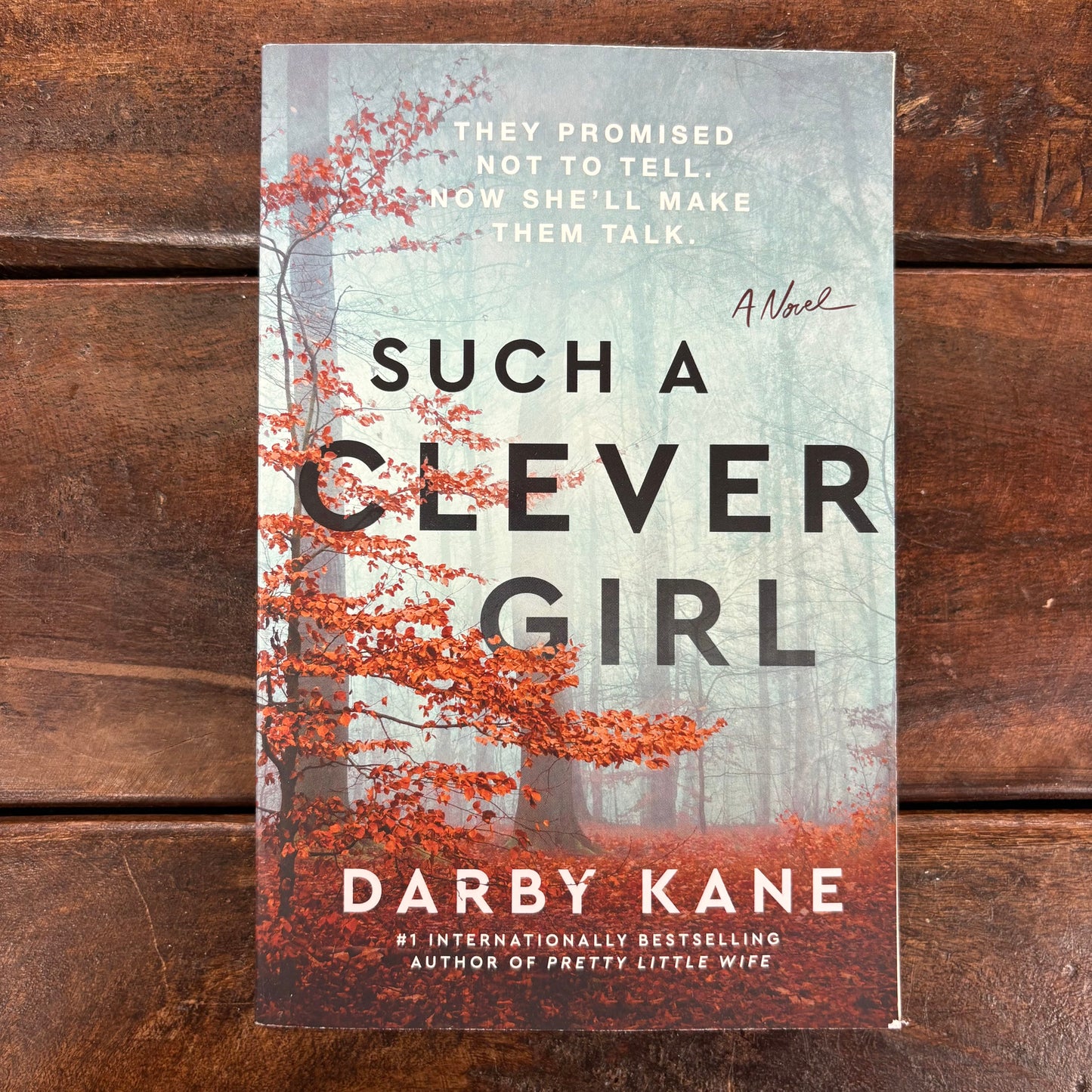 Such A Clever Girl - Darby Kane - Harper Collins