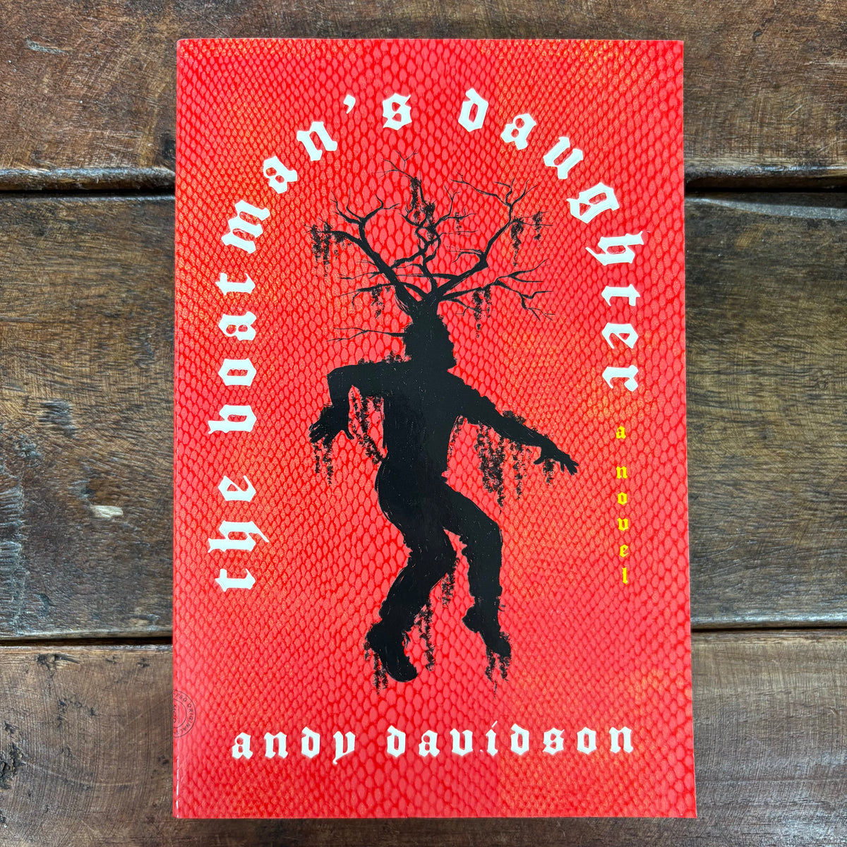 Boatman's Daughter - Andy Davidson - Macmillan Publishers