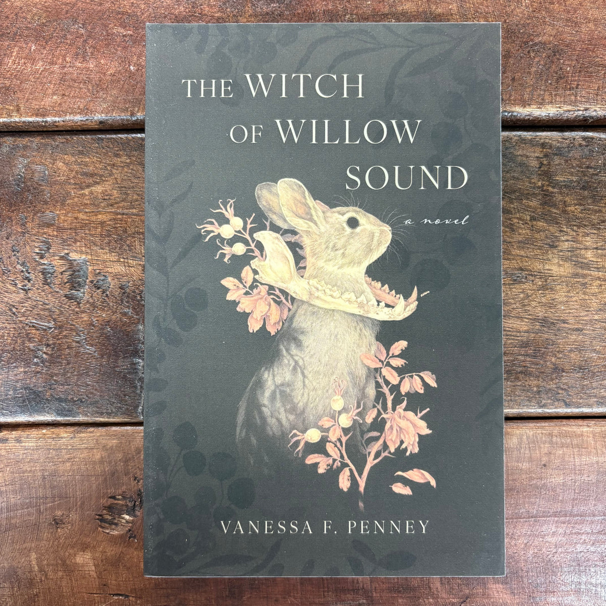 Witch Of Willow Sound - Vanessa F. Penney - Simon and Schuster