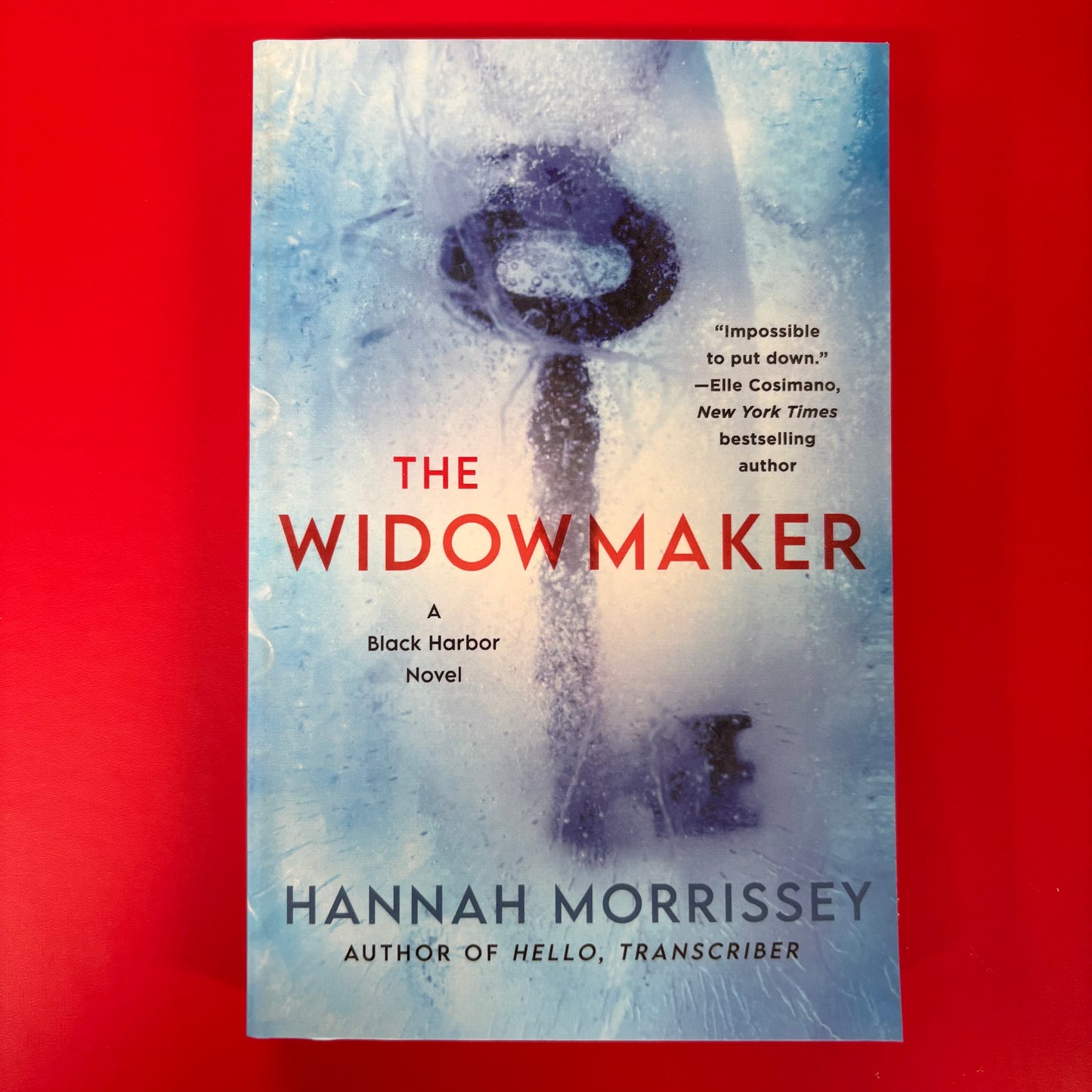 Widowmaker - Hannah Morrissey - Macmillan Publishers