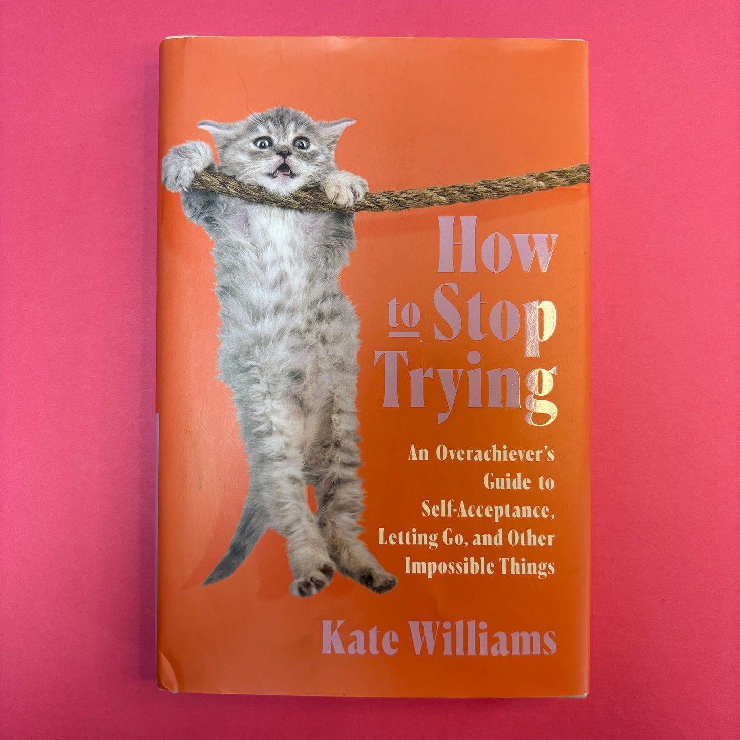How To Stop Trying - Kate Williams - AZB