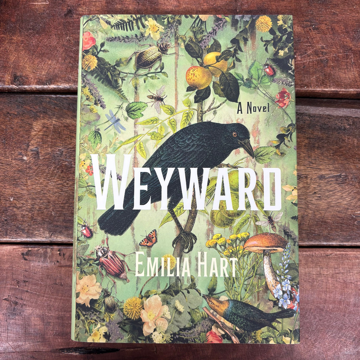 Weyward - Emilia Hart - BKBY