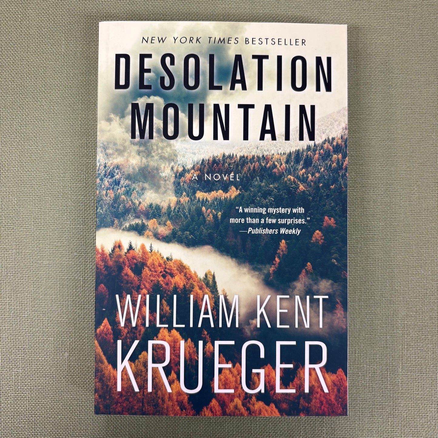 Desolation Mountain - William Kent Krueger - Simon and Schuster