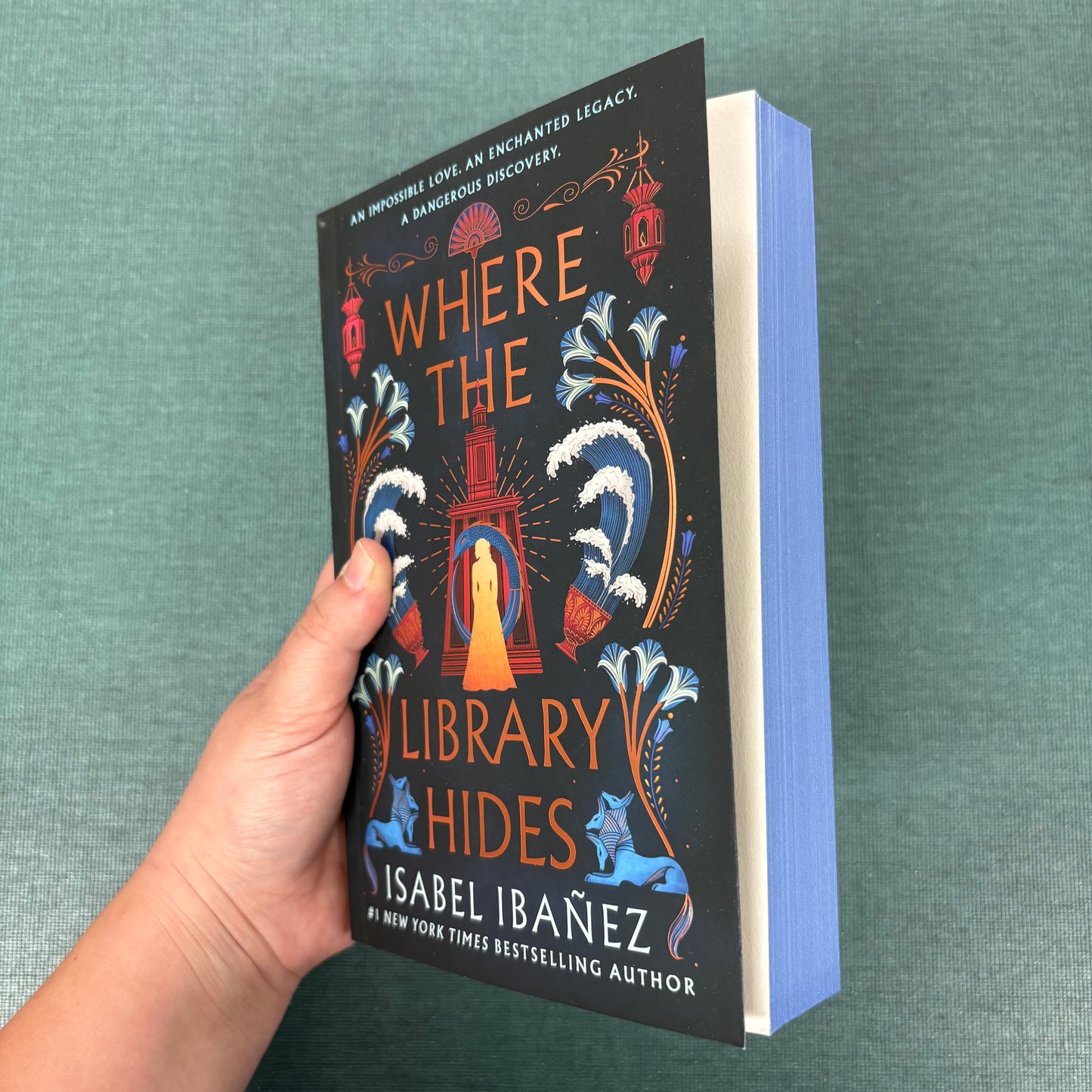 Where The Library Hides - Isabel Ibanez - Macmillan Publishers