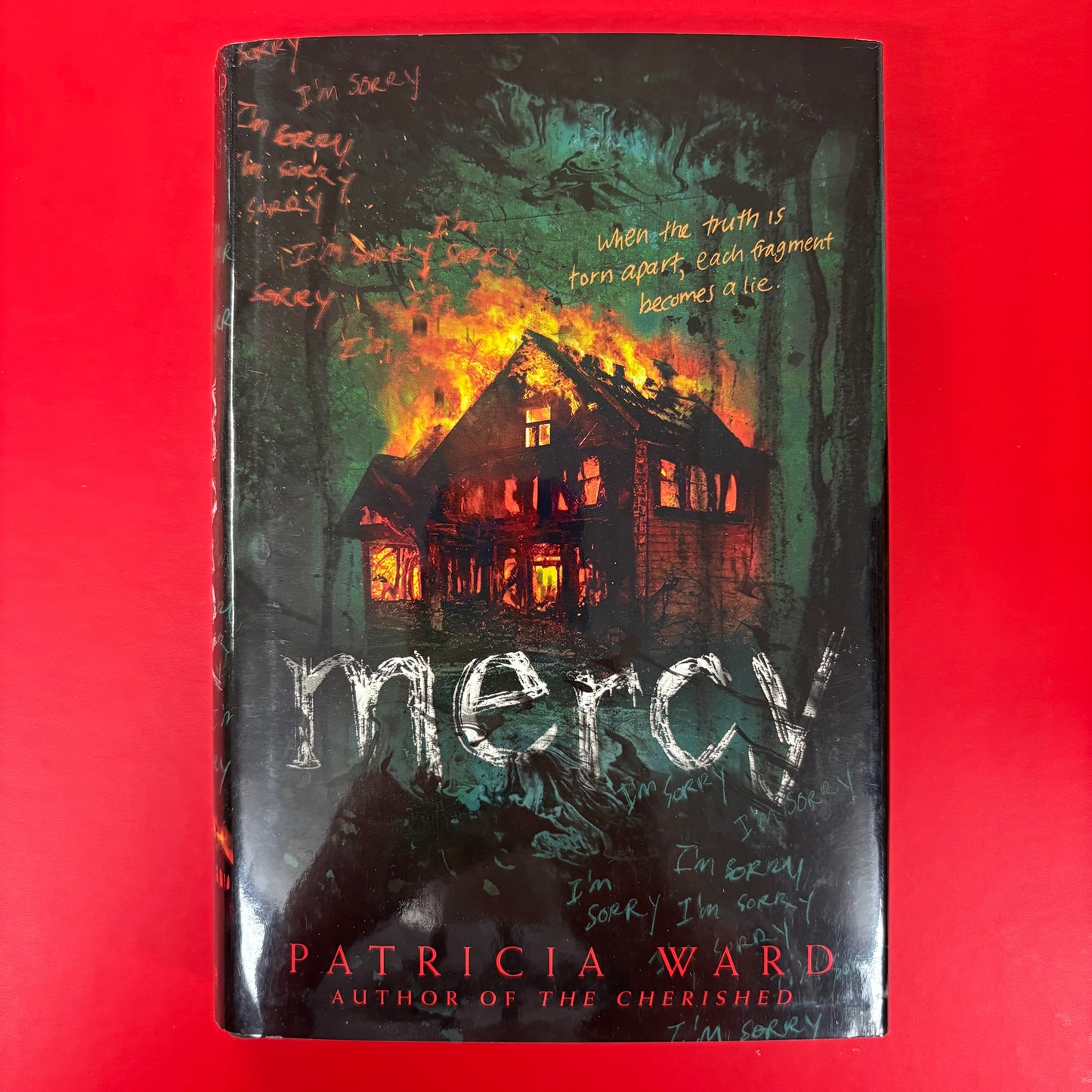 Mercy - Patricia Ward - BOUT
