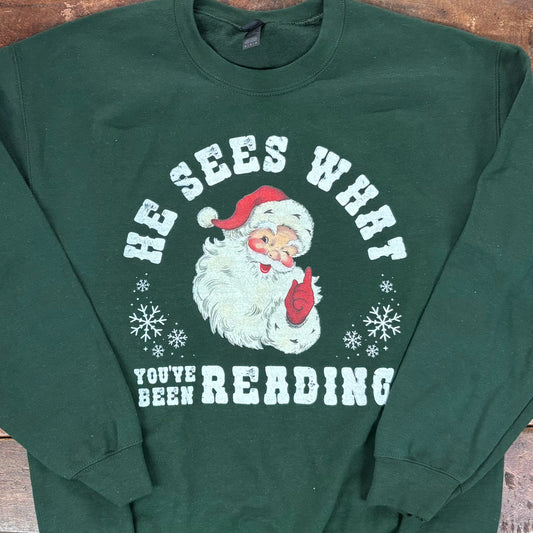 He Sees What You've Been Reading Pullover - DLT