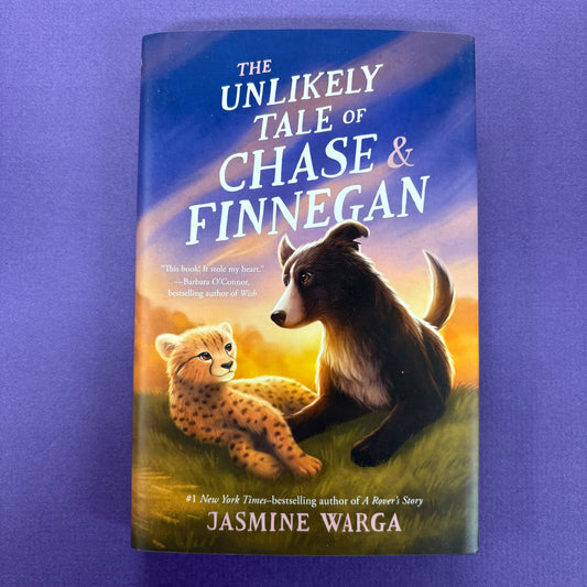 Unlikely Tale Of Chase and Finnegan - Jasmine Warga - Macmillan Publishers