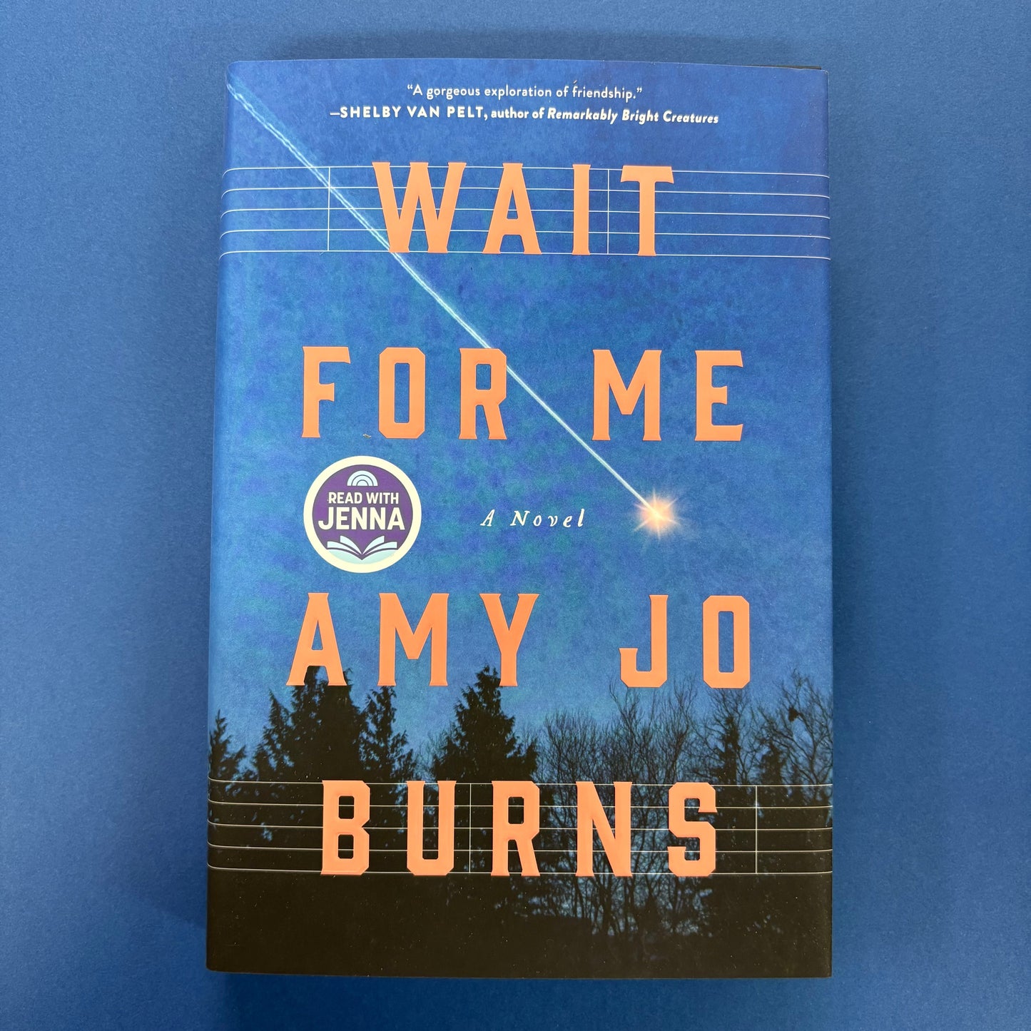Wait For Me - Amy Jo Burns - Macmillan Publishers