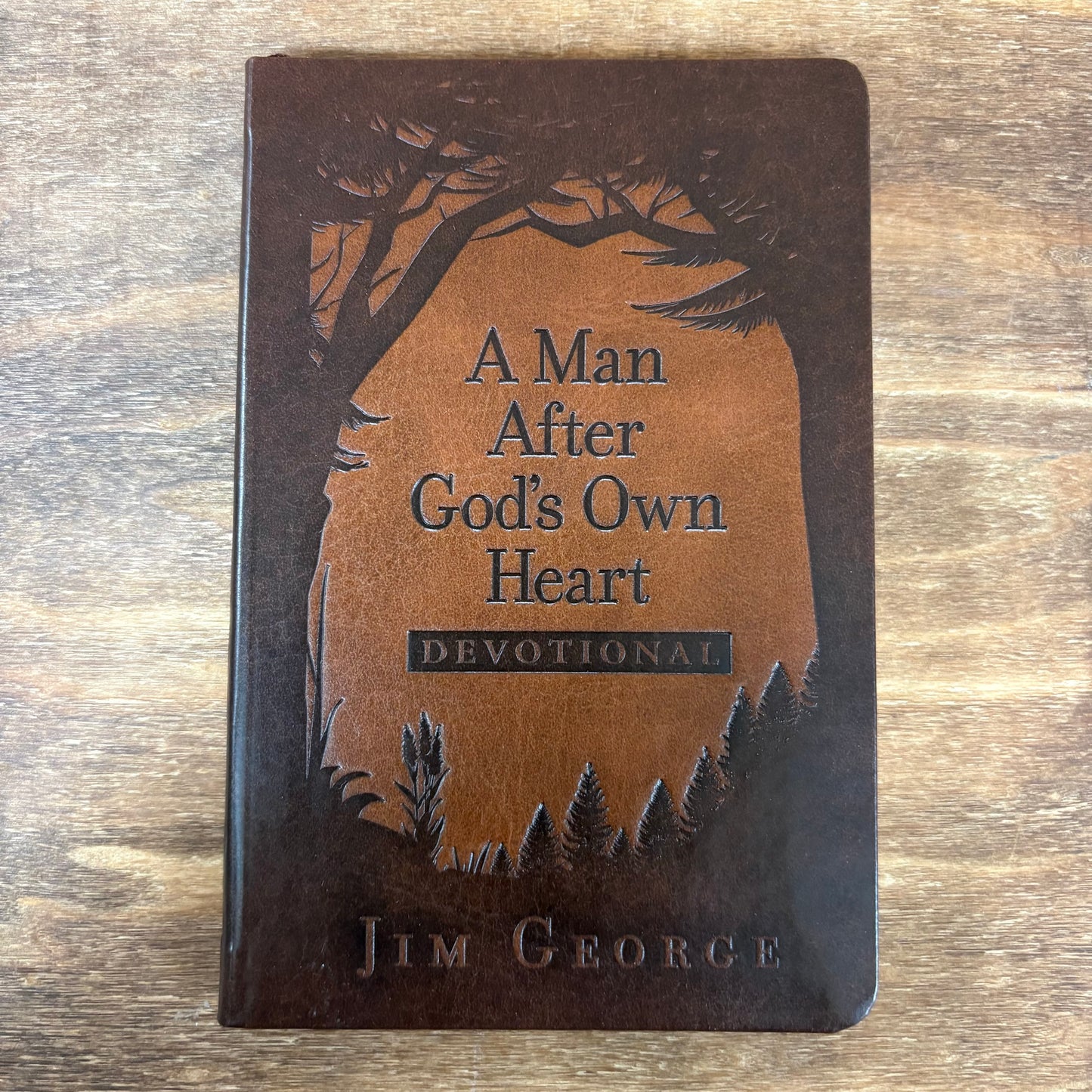 Man After God's Own Heart - Jim George - Harvest House Publishers