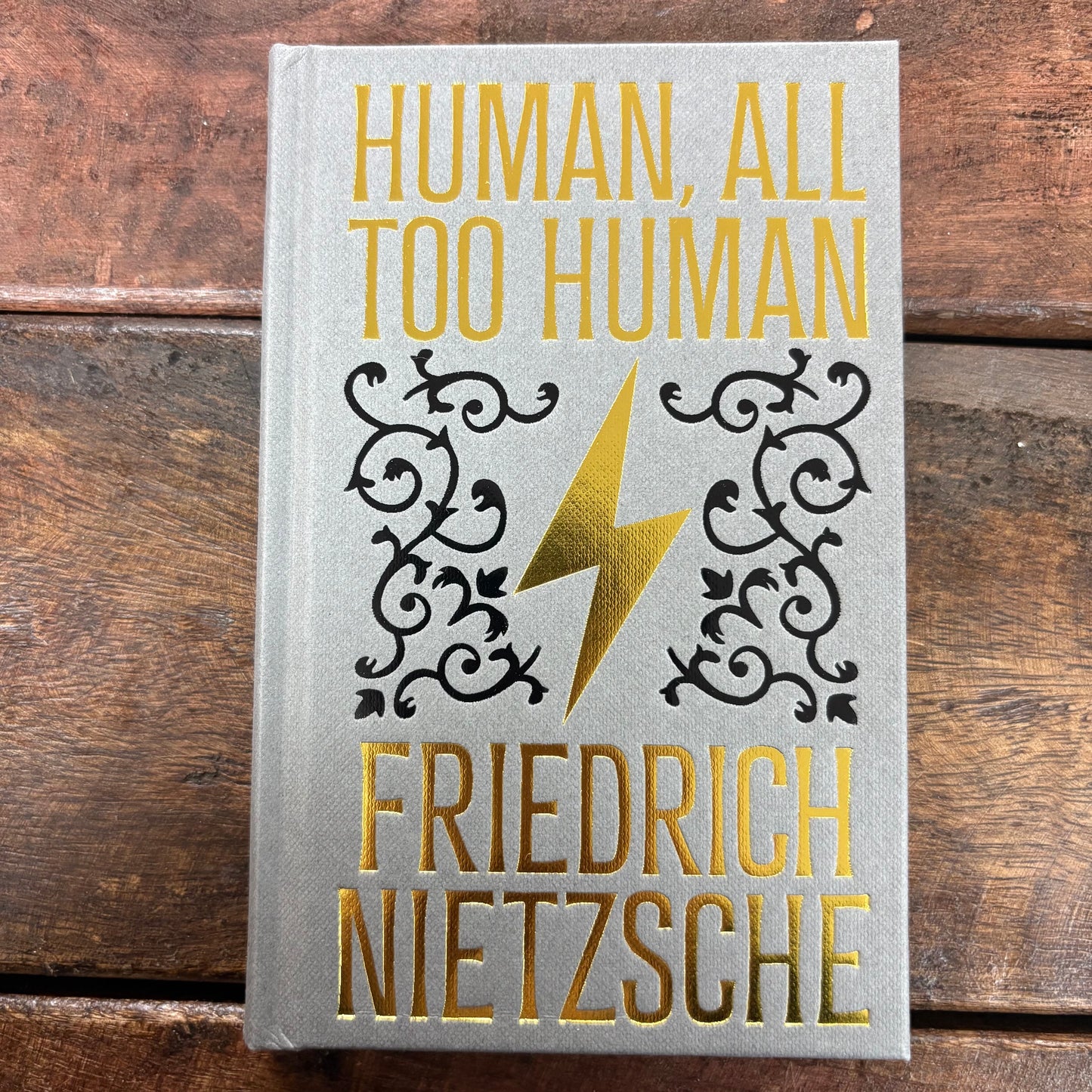 Human, All Too Human - Freidrich Nietzche - Arcturus Ornate Classics - Texas Bookman