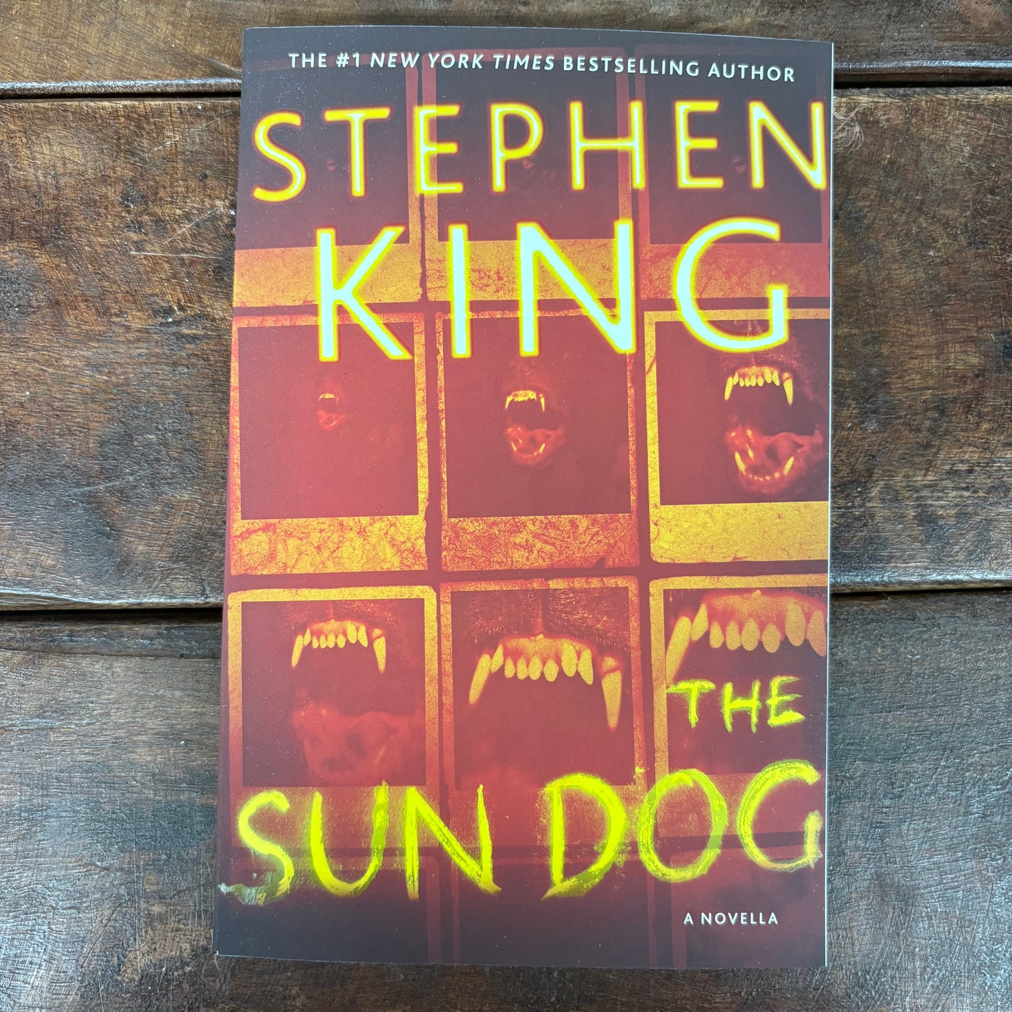 Sun Dog - Stephen King - Simon and Schuster