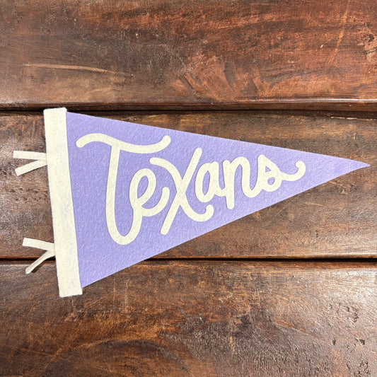 Texans Felt Pennant - Traveldashery