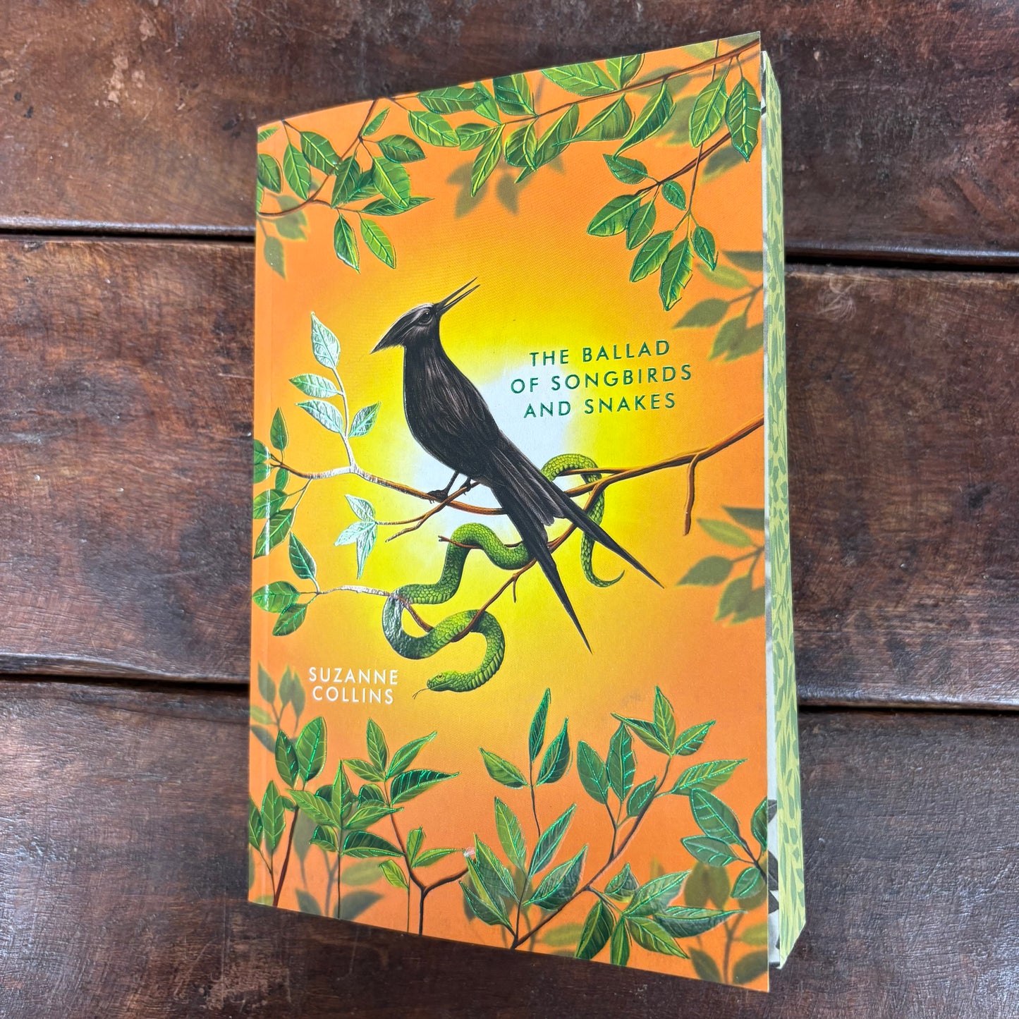 Ballad Of Songbirds and Snakes - Suzanne Collins - Scholastic