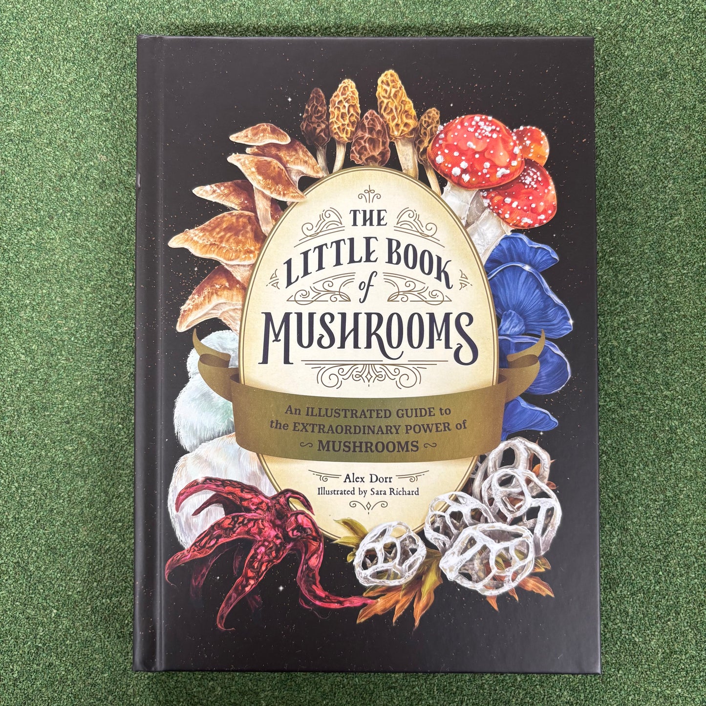 Little Book Of Mushrooms - Alex Dorr - Simon and Schuster