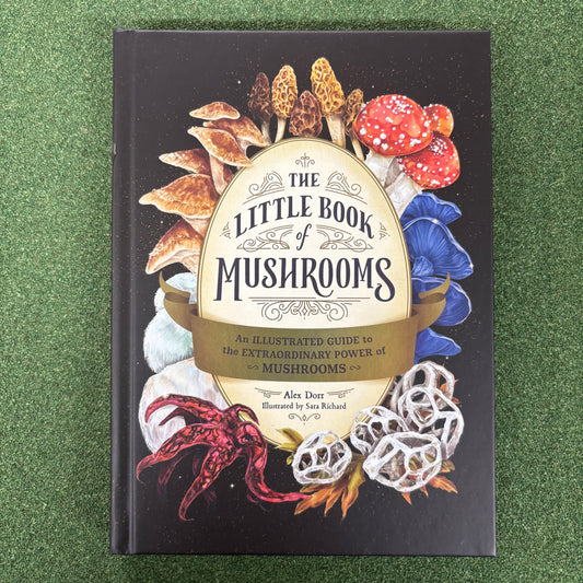 Little Book Of Mushrooms - Alex Dorr - Simon and Schuster